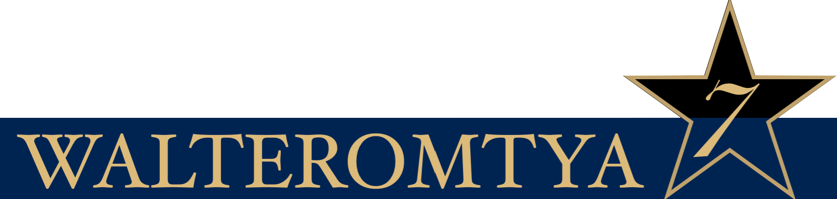 Walteromtya Tech
